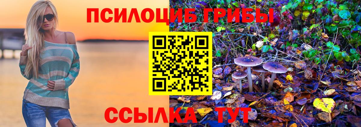 Псилоцибиновые грибы Cubensis Нефтекамск